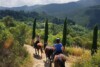 Horse Riding in the Tuscan Countryside